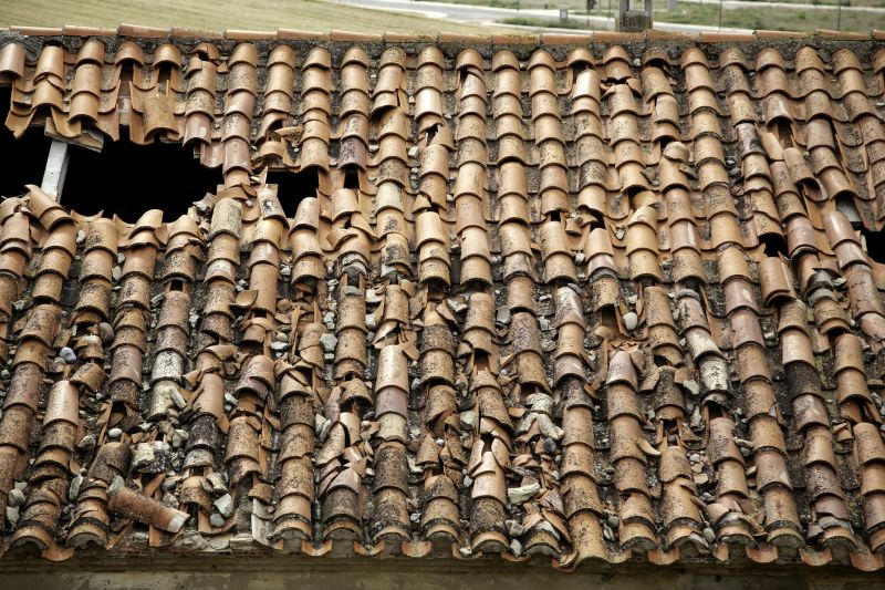 Clay Roof Leak Repair