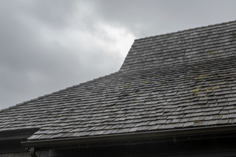 Cedar Shingles Replacement in Alexandria, VA