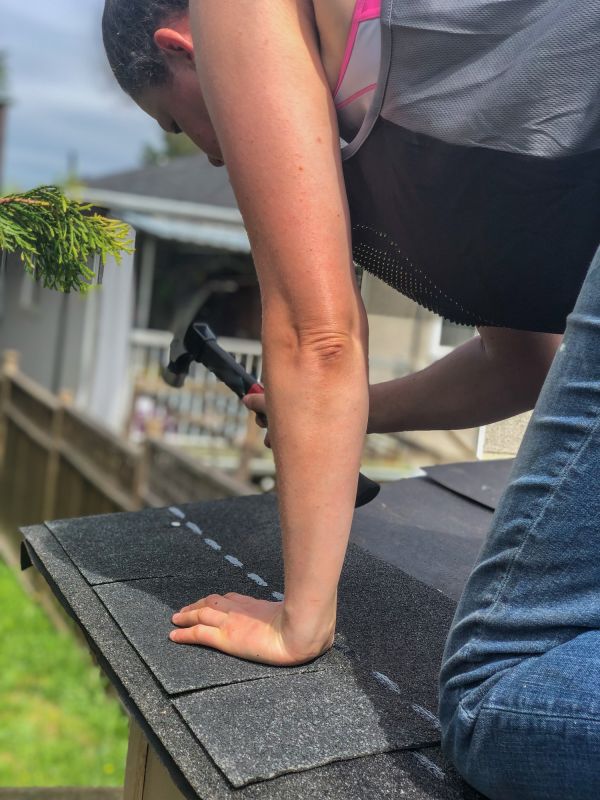 Shingle Repair Project