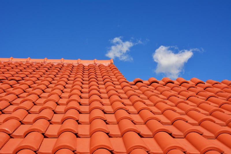 Historic Roof Restoration Experts