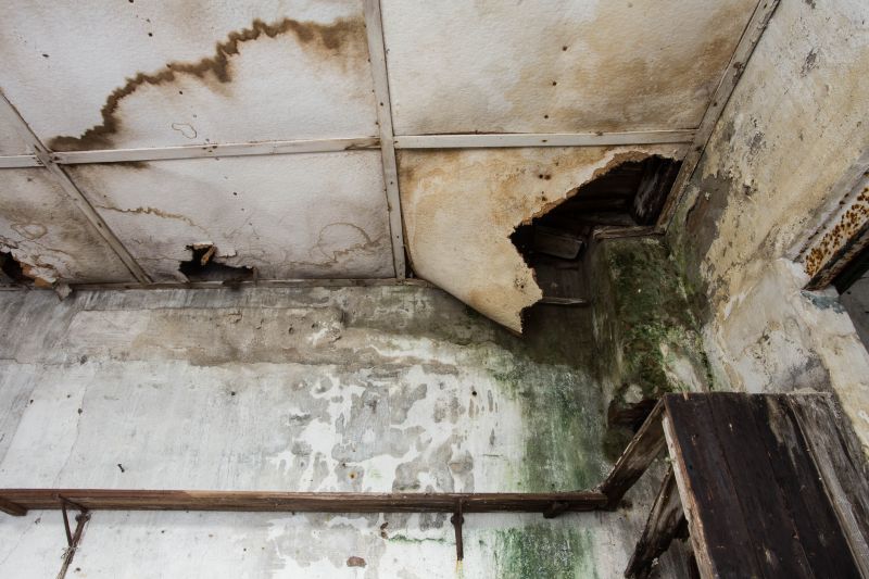 Interior Water Damage